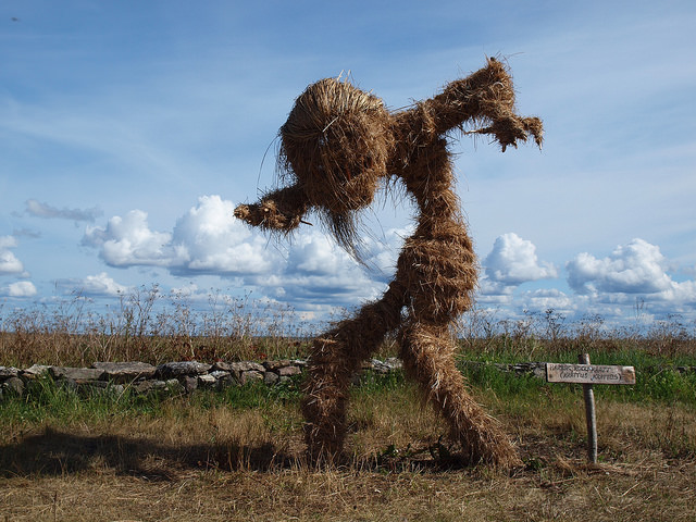 15028865536_2764c1a664_z