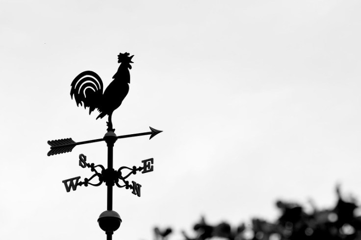 17034443428_9cdf8af35c_c